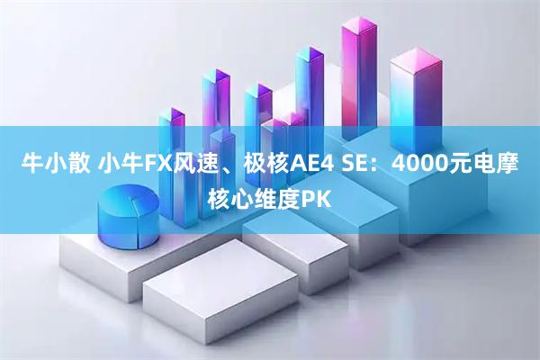 牛小散 小牛FX风速、极核AE4 SE：4000元电摩核心维度PK
