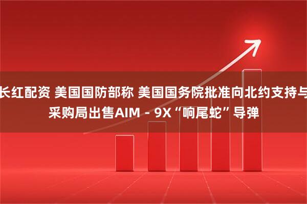 长红配资 美国国防部称 美国国务院批准向北约支持与采购局出售AIM - 9X“响尾蛇”导弹