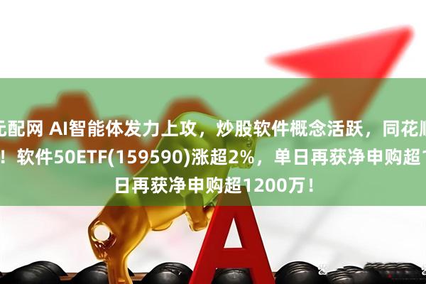元配网 AI智能体发力上攻，炒股软件概念活跃，同花顺涨超8%！软件50ETF(159590)涨超2%，单日再获净申购超1200万！