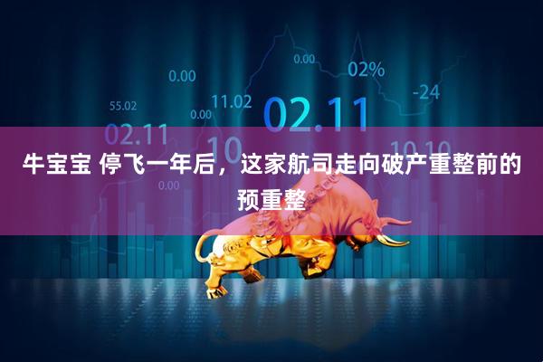 牛宝宝 停飞一年后，这家航司走向破产重整前的预重整